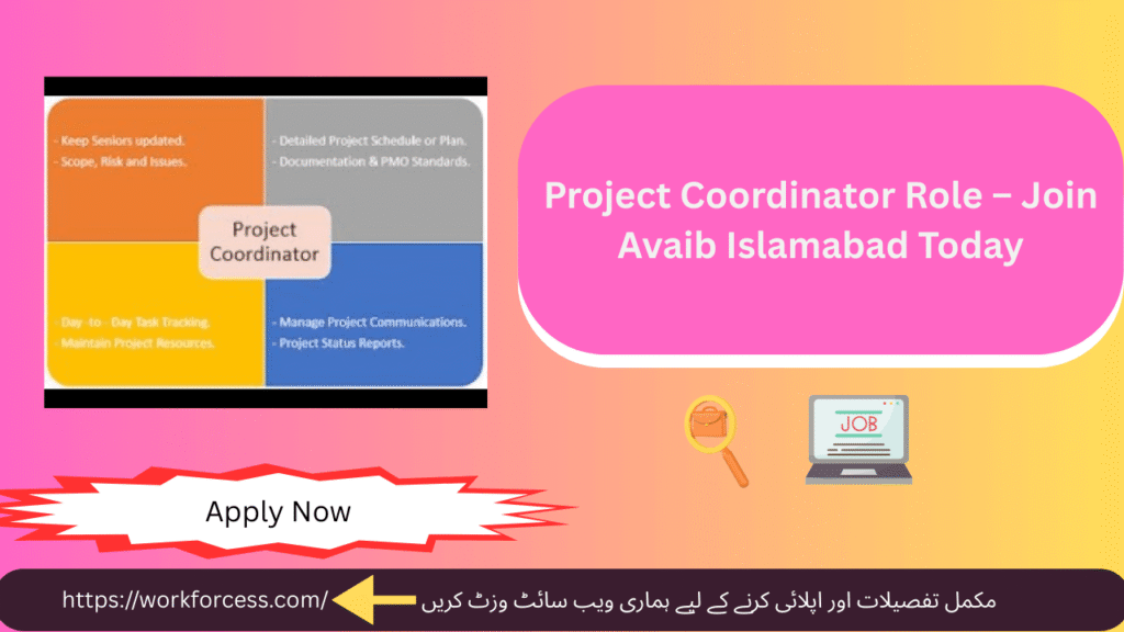 Professional environment at Avaib where project coordinators thrive and grow.