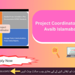 Professional environment at Avaib where project coordinators thrive and grow.