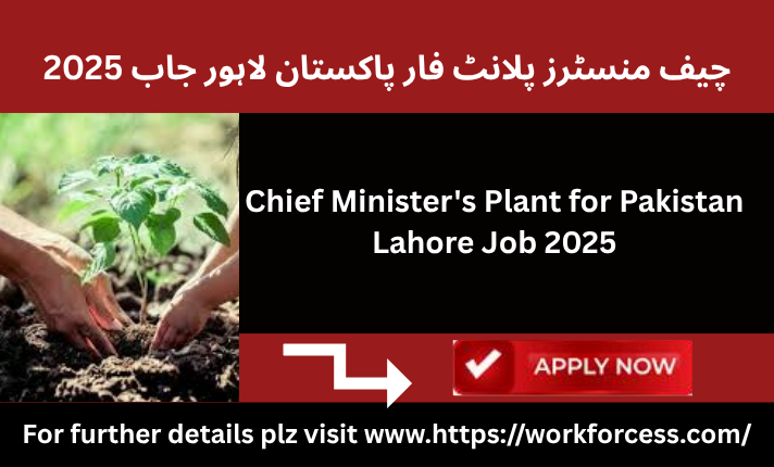 Chief Ministers Plant For Pakistan Lahore Job 2025